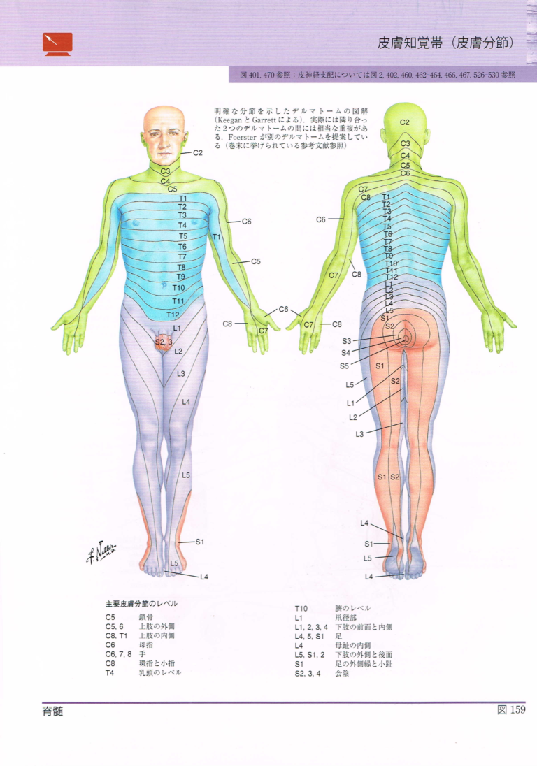 足関節捻挫のリハビリ 早期回復の施術とトレーニング 癒楽心体療法 整体師スペシャリスト養成講座